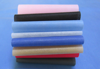 河北涤纶（PET）无纺布是什么